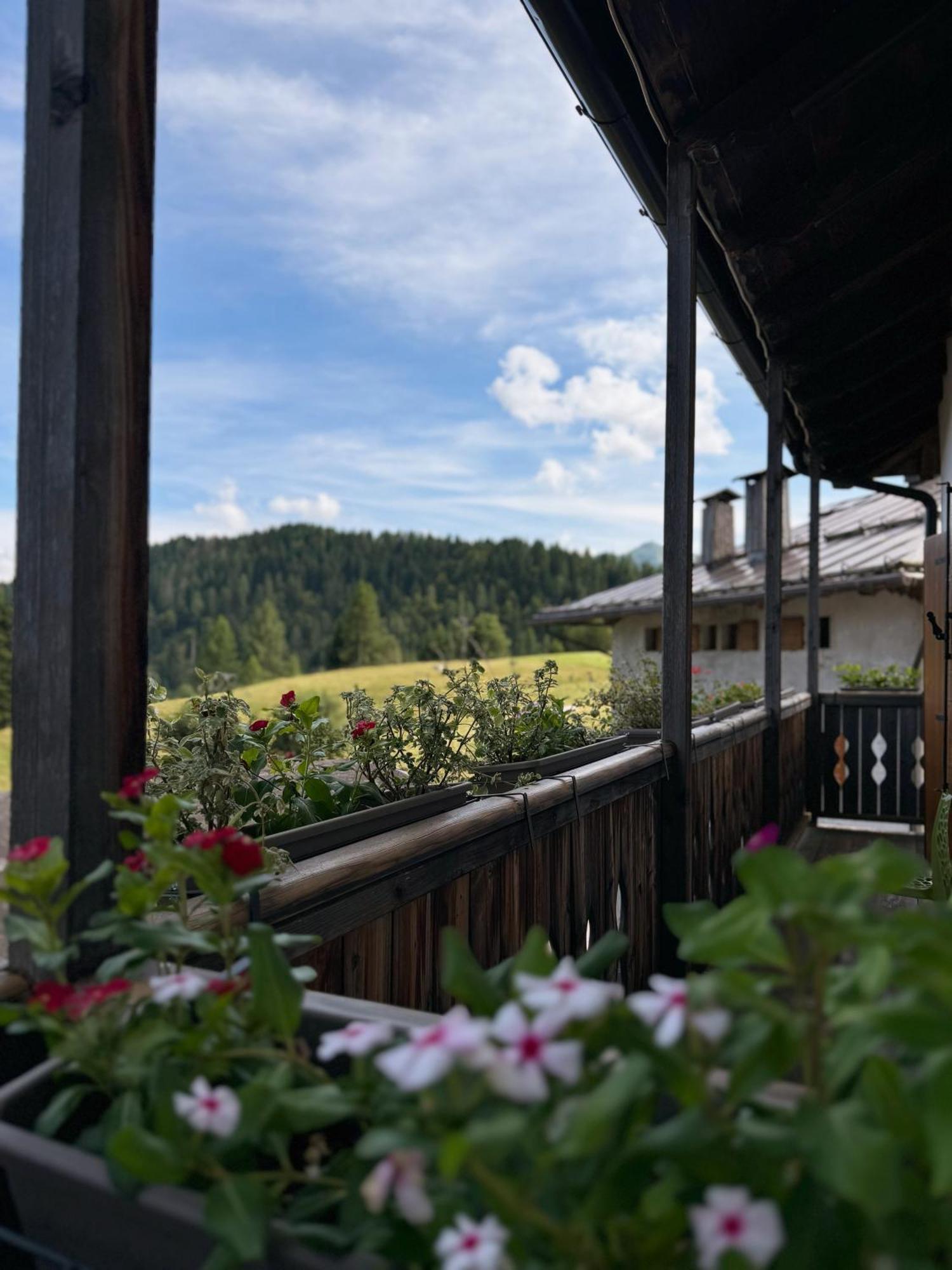 Neider Hotel - Alpine Retreat Sauris Exteriör bild